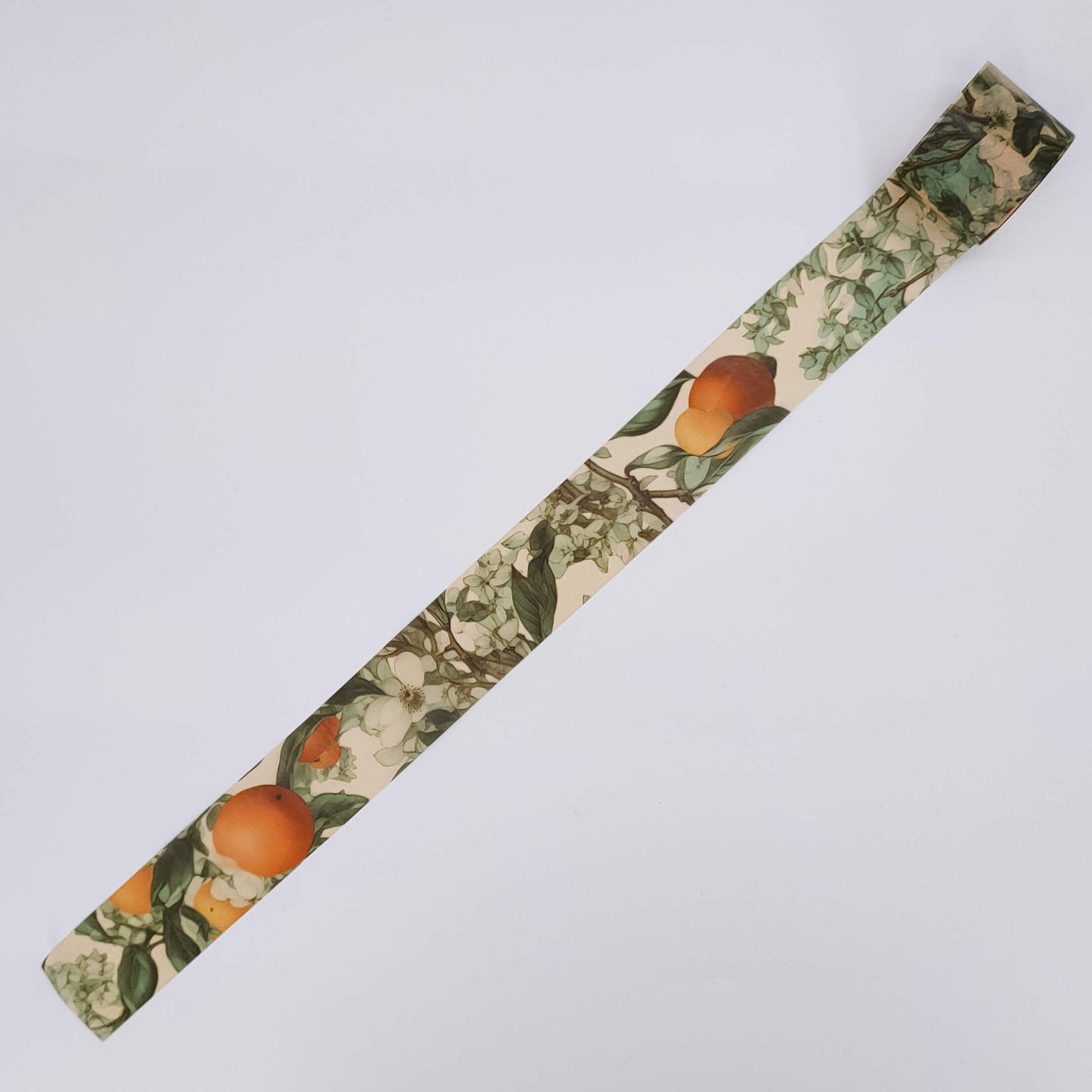 Fruit Harvest Washi Tape Set - Autumn Masking Tape  Clementine Orange loop