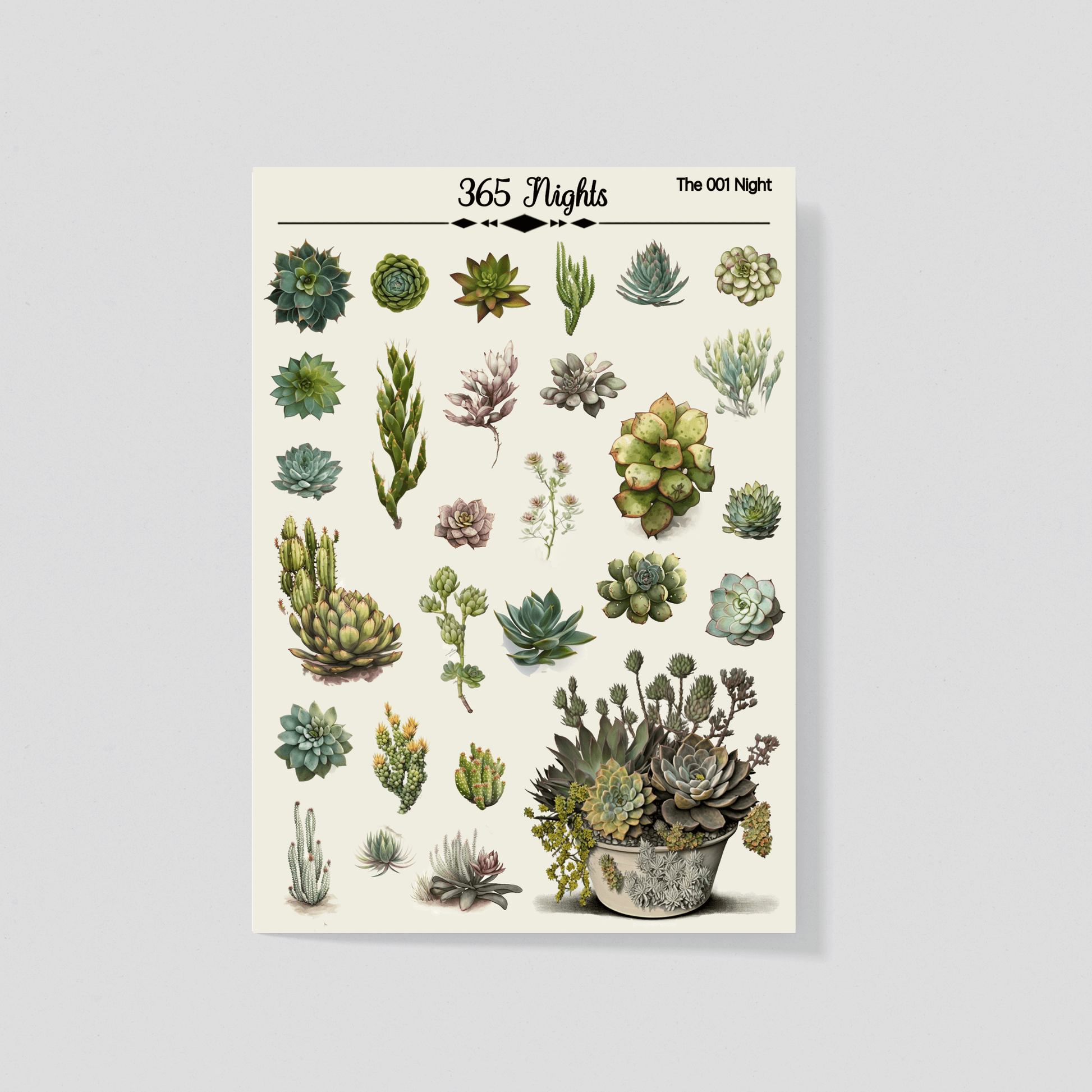 vintage succulent poster Succulent Washi Sticker