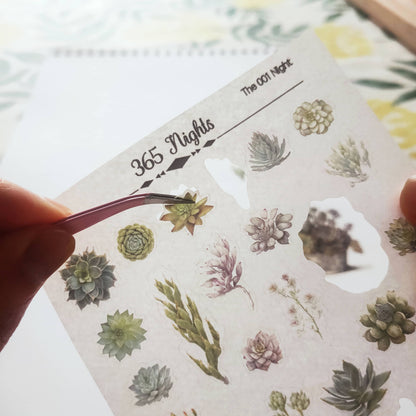 succulent washi tape Succulent Washi Sticker